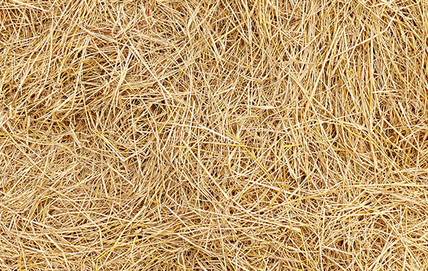 Straw